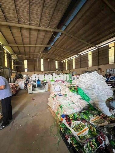 Cho thuê nhà xưởng 3000m2 Cụm Công nghiệp Hoàng Gia – Mỹ Hạnh, Tây Nin