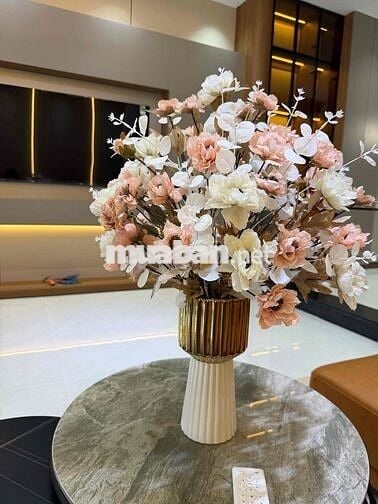 cho thuê nhà 3 tầng đường 7m5 THANH LƯƠNG 18, Hoà Xuân, Đà nẵng - vị t