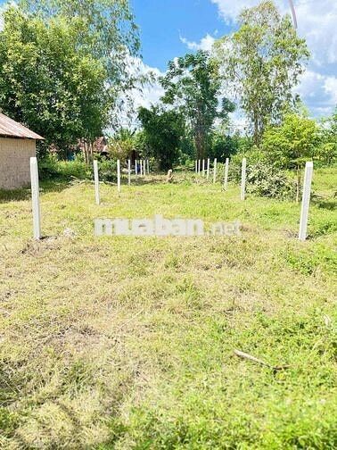 🏡CHÍNH CHỦ BÁN ĐẤT THỔ CƯ – XÃ THANH ĐIỀN, TP TÂY NINH