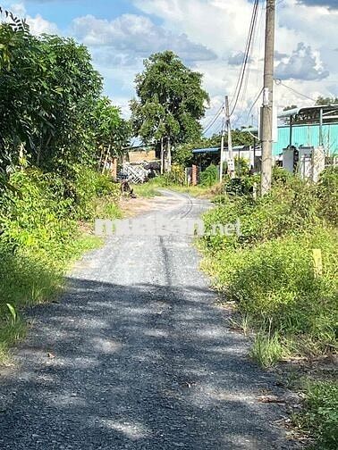 🏡CHÍNH CHỦ BÁN ĐẤT THỔ CƯ – XÃ THANH ĐIỀN, TP TÂY NINH