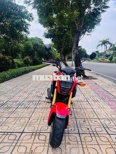 Honda MSX125 2019 Đỏ 4000 km