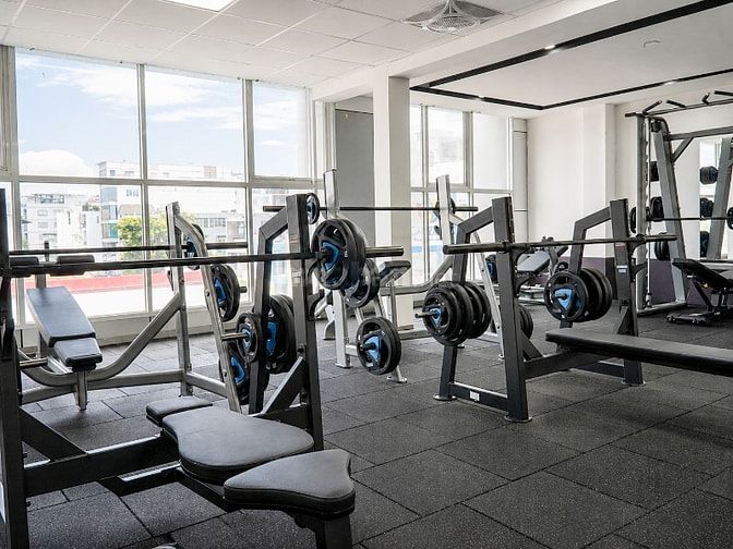 The New Gym: Chuỗi Phòng Tập Gym 24/7 Dành Cho Tất Cả Mọi Người