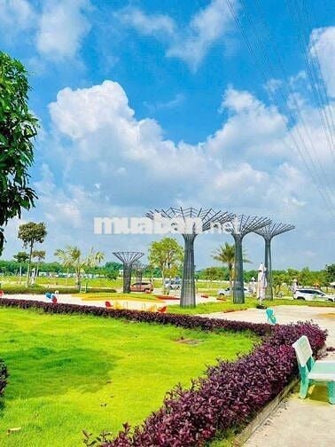 chuyển công tác cần sang lại lô đất đối diện công viên 