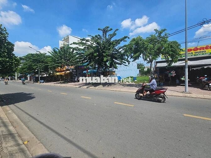 Hàng đẹp Liêu Bình Hương 162m2 (9x18) giá 650tr còn thương lượng