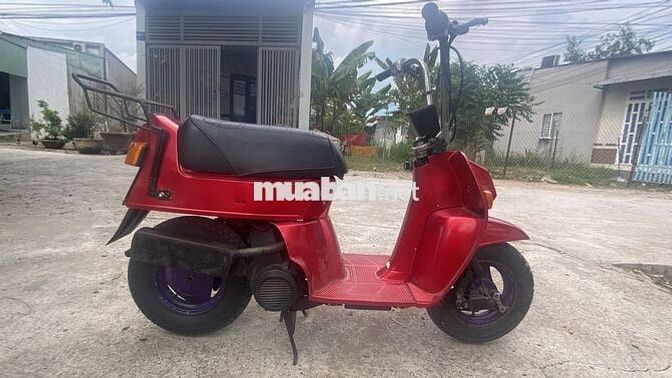 Honda Squash 50cc 2 thì Đỏ