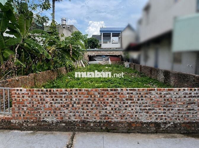 CHÍNH CHỦ CẦN BÁN ĐẤT ĐẸP ĐẠC TÀI - MAI ĐÌNH: SỔ ĐỎ CHÍNH CHỦ 