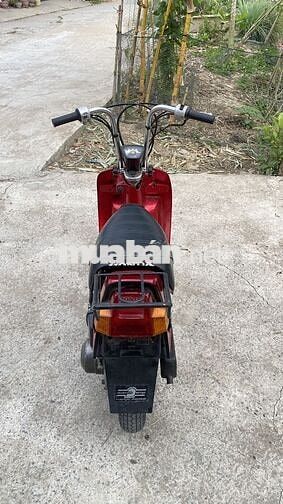 Honda Squash 50cc 2 thì Đỏ