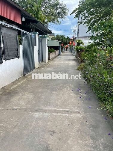 CHÍNH CHỦ CẦN BÁN ĐẤT ĐẸP ĐẠC TÀI - MAI ĐÌNH: SỔ ĐỎ CHÍNH CHỦ 
