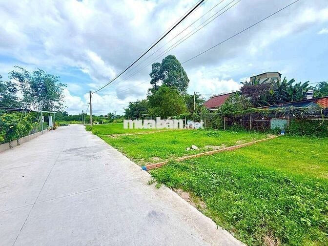 gấp , nhanh 100m2 (5x19m) ở Trung Tâm Thị Trấn Củ Chi sổ sẵn 900 triệu