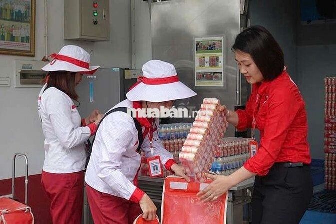 Tuyển nữ bán sữa quận 6