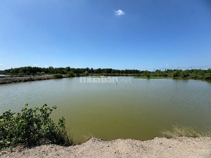 Bán 8,3Ha - Đất mặt tiền Lý Nhơn, Cần Giờ, giá 230tỷ