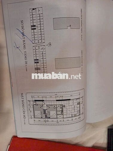 Chung Cư ROMAXA PLAZA Thuận An