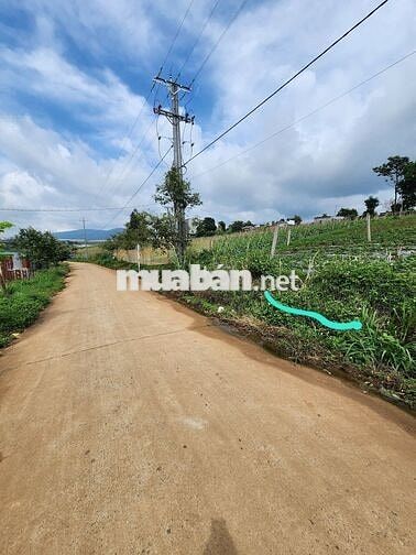 Bán đất nghỉ dưỡng có sẳn thổ cư, xây dựng tự do; vùng ven Đà Lạt
