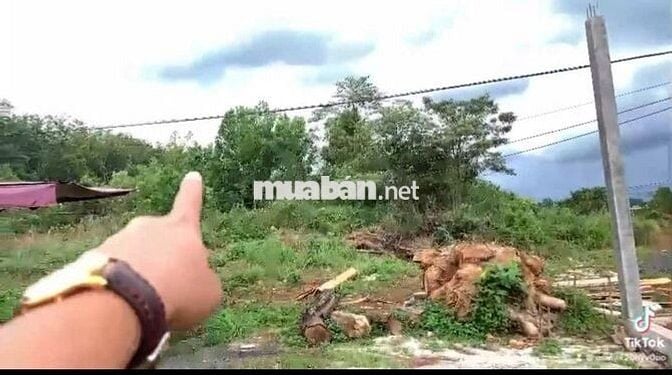 Bán đất Huyện Đắk R'lấp, tỉnh Lâm Đồng (Đak Nông)
