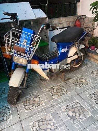 Honda Chaly 84 Xanh dương