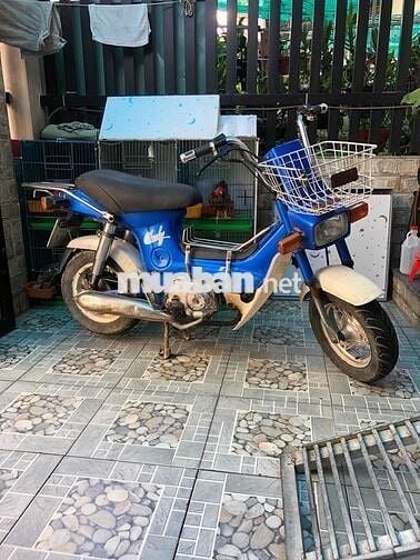 Honda Chaly 84 Xanh dương