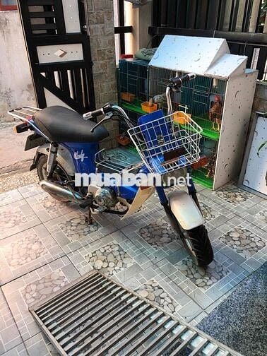 Honda Chaly 84 Xanh dương