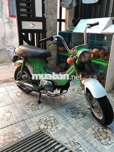 Honda Chaly 78/50 Xanh lá Đã sử dụng