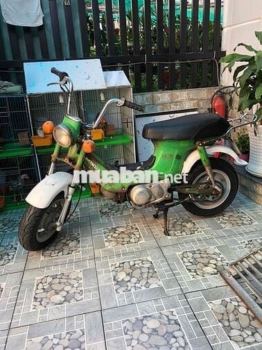 Honda Chaly 78/50 Xanh lá Đã sử dụng