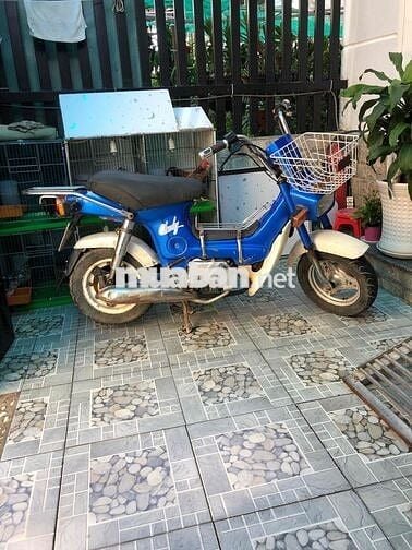 Honda Chaly 84 Xanh dương