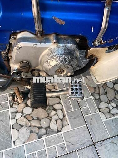 Honda Chaly 84 Xanh dương