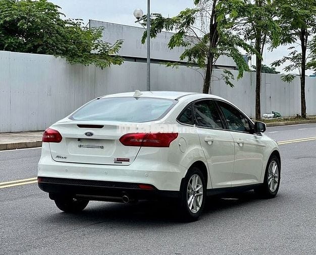 Focus 2019 trend