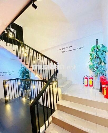 Cho Thuê Biệt Thự Mặt Tiền Hồ Văn Huê, P9, Giá Chỉ 35 Triệu