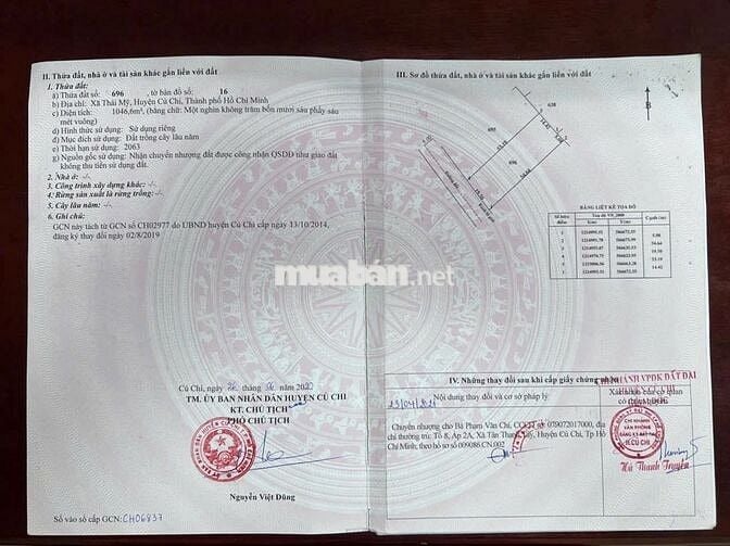 bán đất mặt tiền Tam Tân gần Vinhome HocMon, KCN  Lộc Giang
