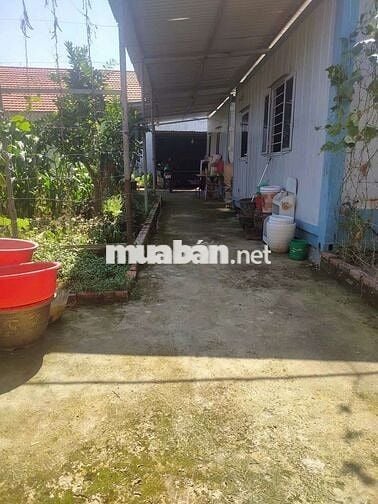 CHÍNH CHỦ BÁN LÔ ĐẤT ĐẸP NỞ HẬU – HÀ KHẨU,