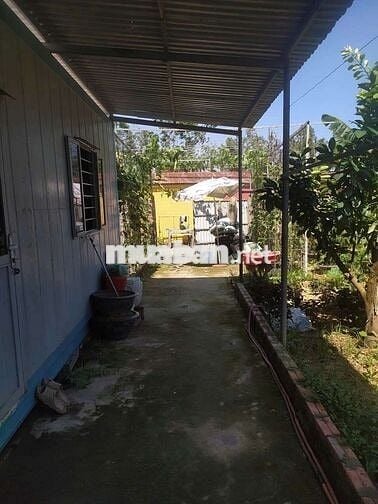 CHÍNH CHỦ BÁN LÔ ĐẤT ĐẸP NỞ HẬU – HÀ KHẨU,