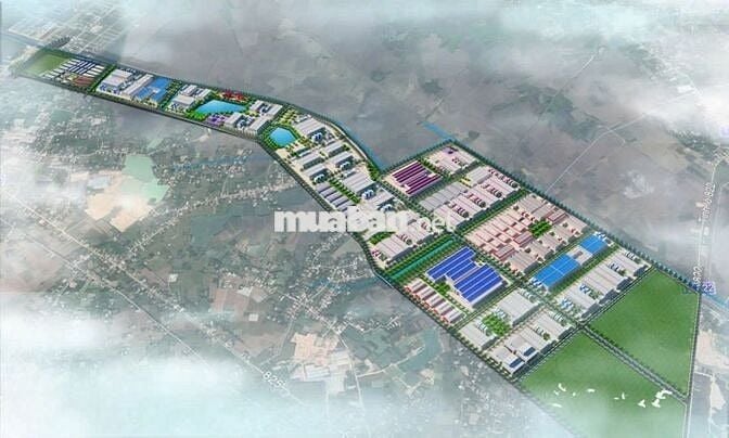 bán đất mặt tiền Tam Tân gần Vinhome HocMon, KCN  Lộc Giang