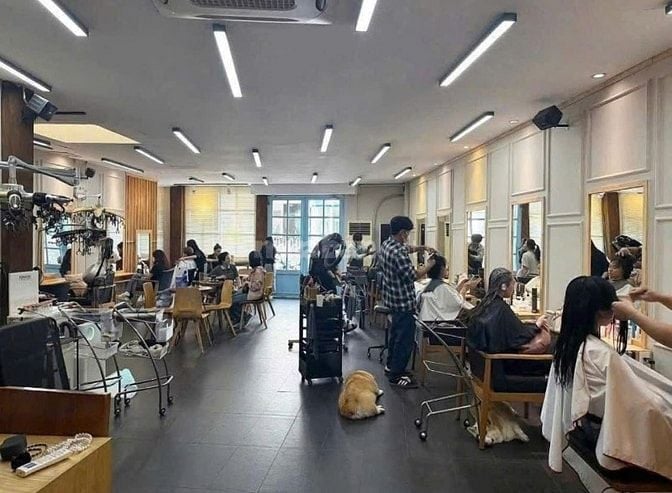 Cần Bán Gấp Mặt Tiền Ngô Thời Nhiệm Quận 3 Giá Tốt Khu Vực, Ngang Khủn