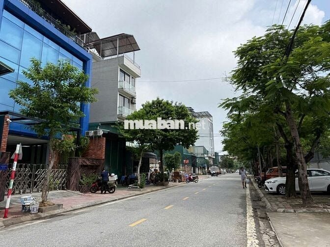 CẦN BÁN ĐẤT TÁI ĐỊNH CƯ CỰ KHỐI LONG BIÊN HÀ NỘI.