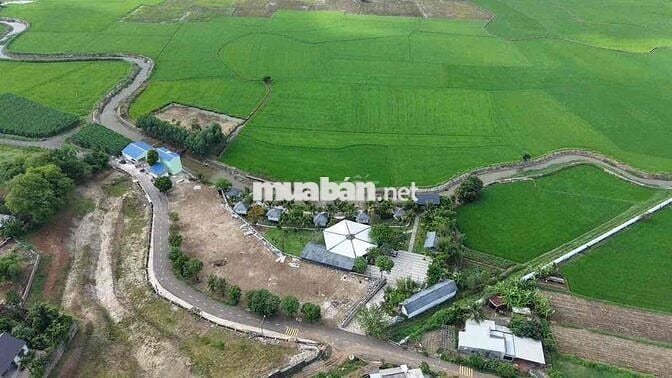 🚨 CHỦ KẸT TIỀN – HẠ GIÁ BÁN GẤP 1 CẶP ĐẤT LIỀN KỀ 🚨