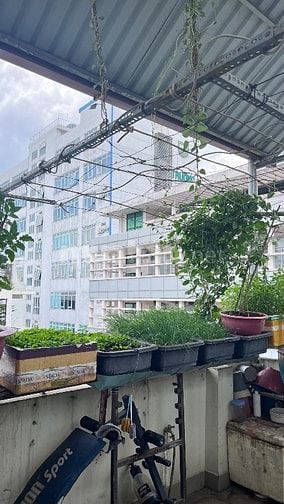 Cho thuê phòng trọ 1 hoặc 2 người ở quận 10