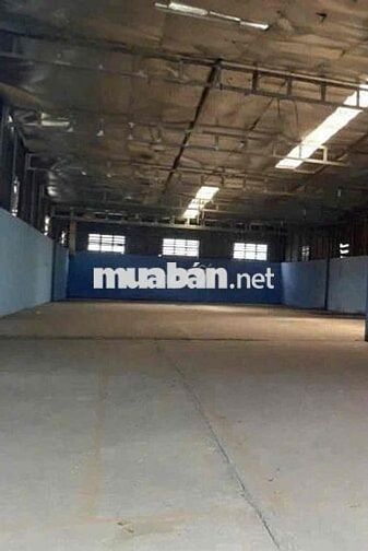 CHO THUÊ KHO 850m2 14x60m 45triệu - MẶT TIỀN PHẠM VĂN SÁNG ĐƯỜNG CONT