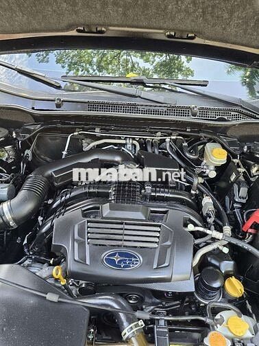Subaru Forester Đen Tự động Nhập khẩu