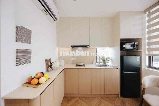 Cho thuê căn hộ mới 100% 35m² giáp Bình Thạnh gần Quận 1 - Phú Nhuận