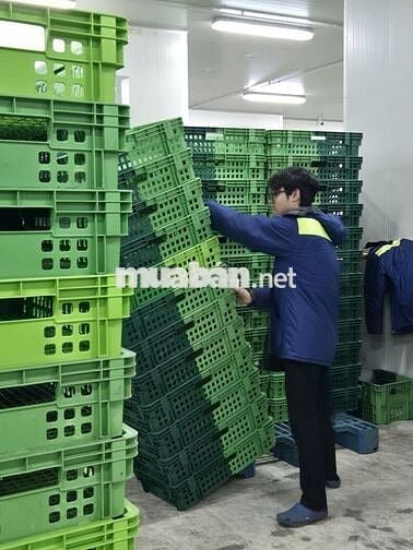 [Củ Chi , 14h-23h] NHÂN VIÊN KHO MÁT 7-ELEVEN