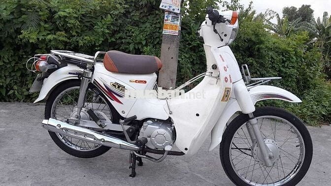 Cub 50cc 2020 Trắng