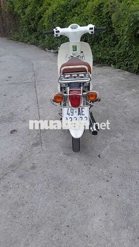 Cub 50cc 2020 Trắng