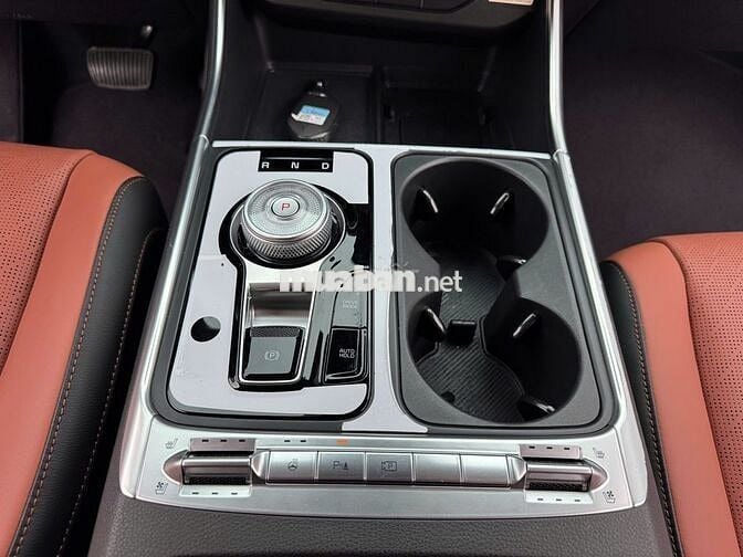 Kia Carnival 2.2D Signature 7s sản xuất 2024