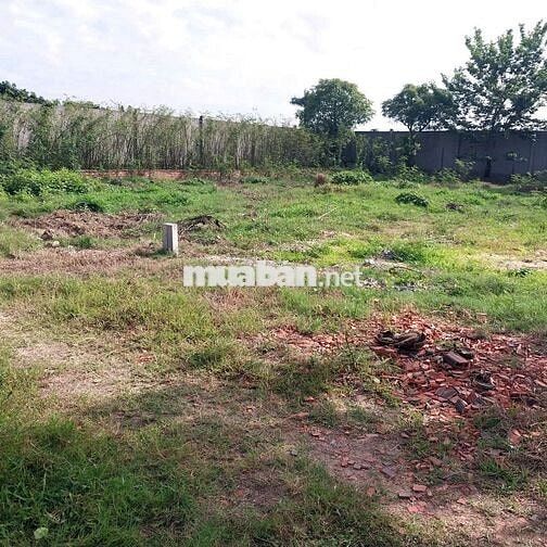 BÁN ĐẤT THỔ CƯ TT HẬU NGHĨA - LONG AN