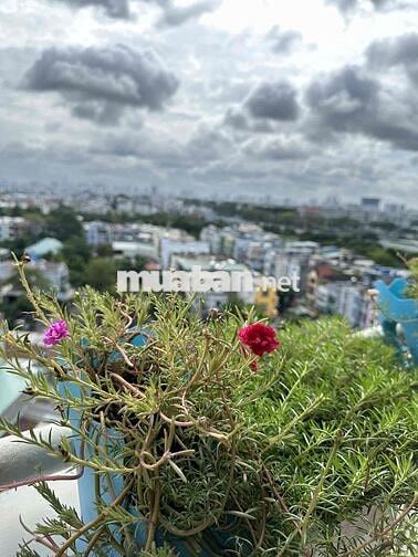 CHÍNH CHỦ BÁN GẤP -Căn hộ Tên Lửa