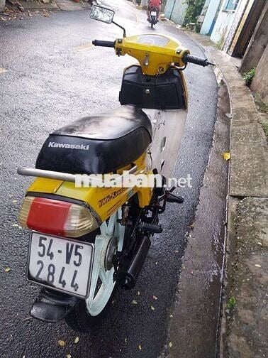  Max Vàng, Trắng Số sàn