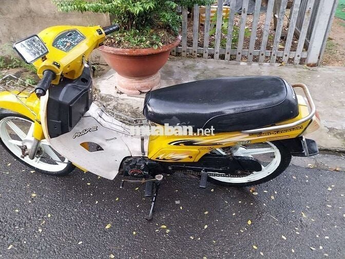  Max Vàng, Trắng Số sàn