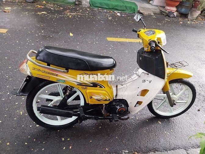  Max Vàng, Trắng Số sàn