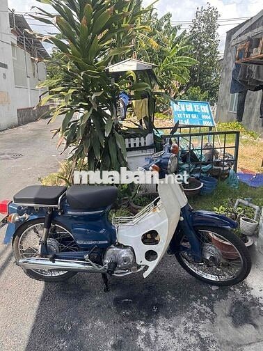 Honda Cub 81 50cc Biển Số Thành Phố Giay tờ đay đủ