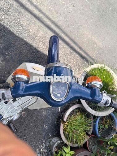 Honda Cub 81 50cc Biển Số Thành Phố Giay tờ đay đủ