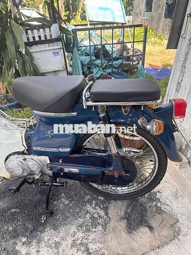 Honda Cub 81 50cc Biển Số Thành Phố Giay tờ đay đủ